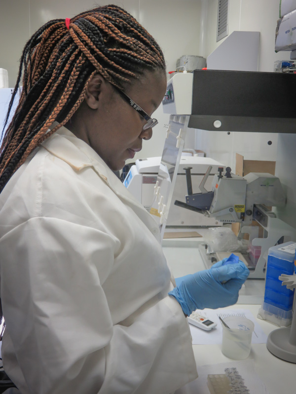 Mwenda extracts DNA from dried bloodspots