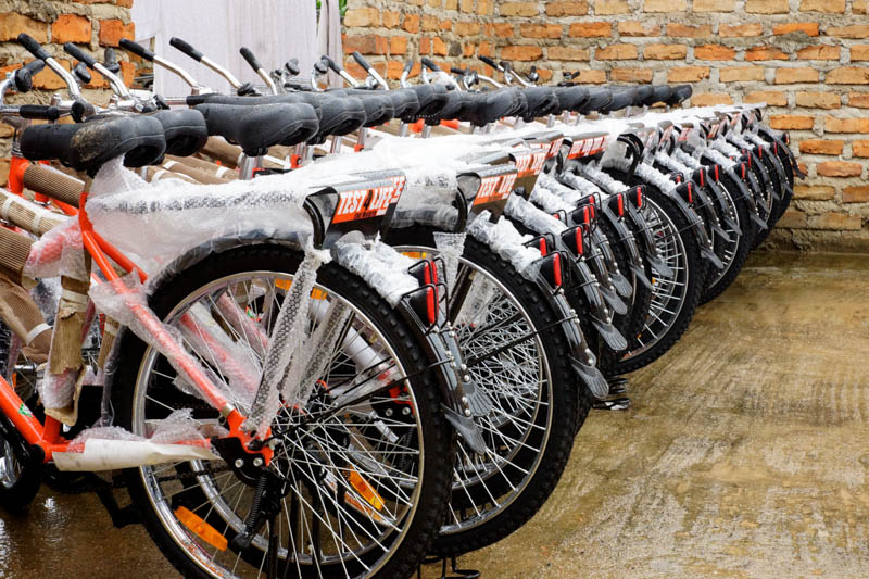 A group of bicycles waits for their new riders.
